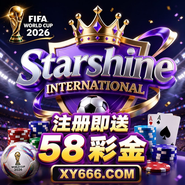 星耀国际